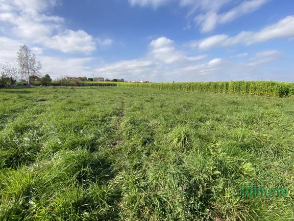 Exclusivité : magnifique terrain plat constructible viabilisé de 987 m² à Éclassan Eclassan (07370)