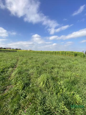 Exclusivité : magnifique terrain plat constructible viabilisé de 987 m² à Éclassan Eclassan (07370)