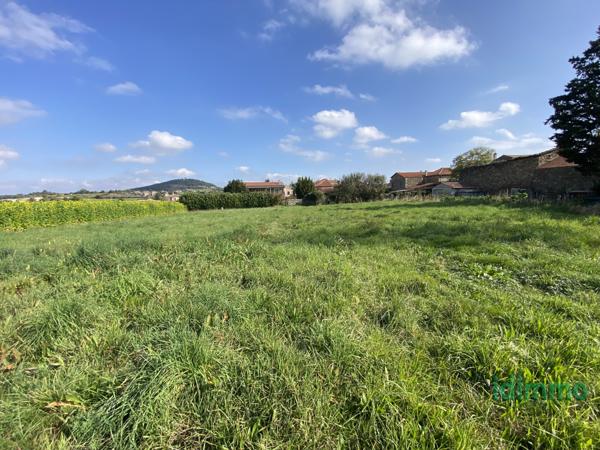 Exclusivité : magnifique terrain plat constructible viabilisé de 987 m² à Éclassan Eclassan (07370)