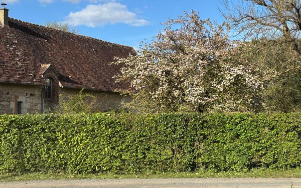 Maison à vendre    6 pièces •  Argenvilliers