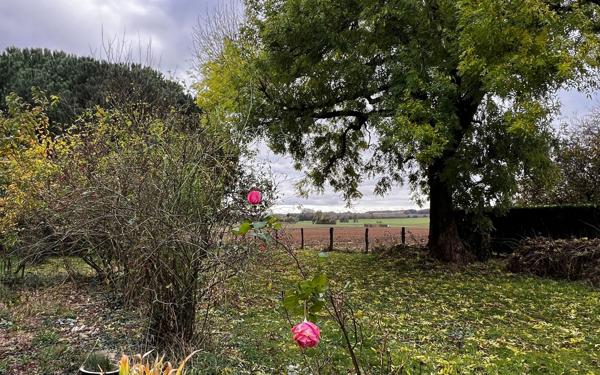 Maison à vendre    6 pièces •  Argenvilliers