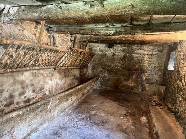 MEXIMIEUX CENTRE-VILLE MAISON A RENOVER AVEC DEPENDANCES ET JARDIN