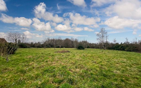 Maison à vendre    4 pièces •  Chaumont-sur-Tharonne