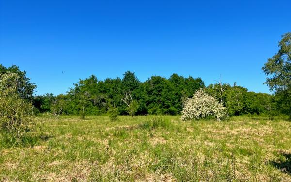 Maison à vendre    4 pièces •  Chaumont-sur-Tharonne