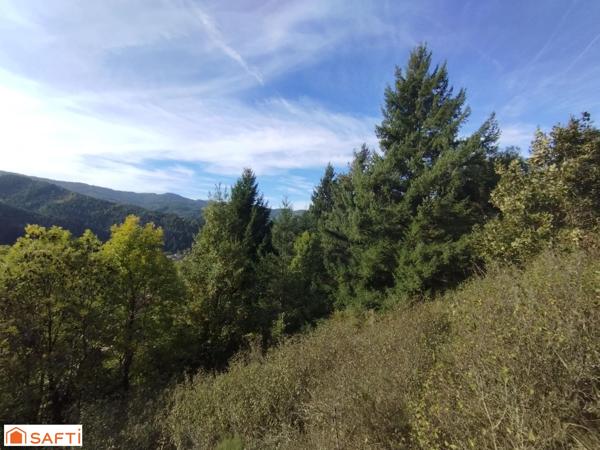 Terrain avec très belle vue, 8045m² et 1618m² constructibles