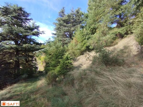 Terrain avec très belle vue, 8045m² et 1618m² constructibles