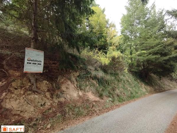 Terrain avec très belle vue, 8045m² et 1618m² constructibles
