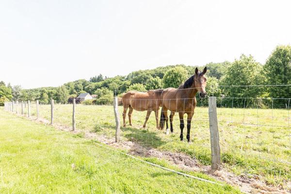 LIEUX UNIQUES ®  - PROPRIÉTÉS PRIVÉES PROPOSE TRÈS JOLIE BÂTISSE-MOULIN DE 240 M² À BLÉRÉ (37) SUR 2.40 HA