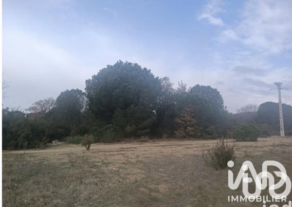 Terrain à vendre 7 442 m² Ortaffa