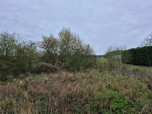 Terrain à vendre 596m² Coutiches (59310)