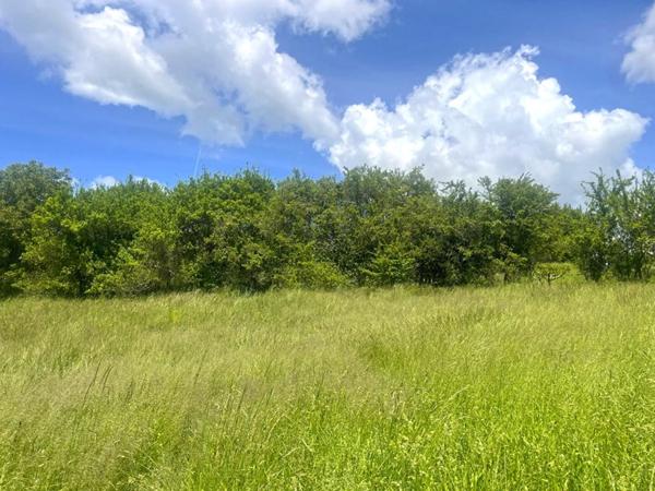 Terrain constructible  989m2 Saint Lions (04 330)  Alpes-de-Haute-Provence