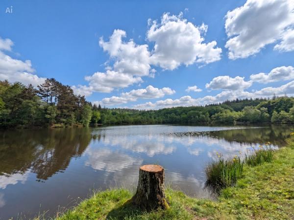 Lacs à vendre à Château-Chervix (87380) - Haute-Vienne