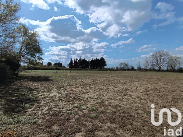 Terrain à vendre 2 085 m² Le Cailar