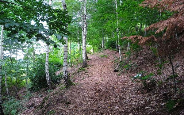 Maison à vendre    3 pièces •  Senones