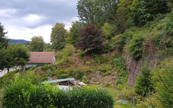 Maison à vendre    3 pièces •  Senones