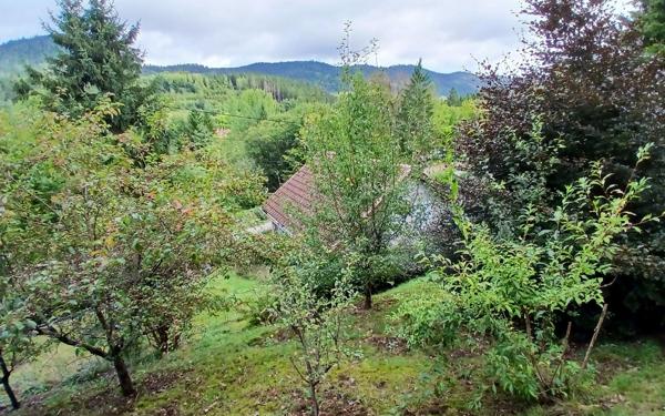 Maison à vendre    3 pièces •  Senones