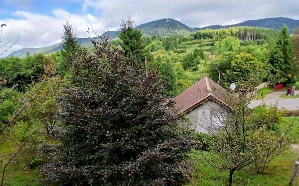 Maison à vendre    3 pièces •  Senones