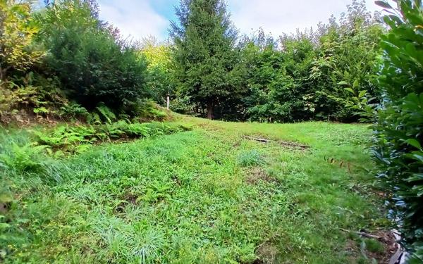 Maison à vendre    3 pièces •  Senones