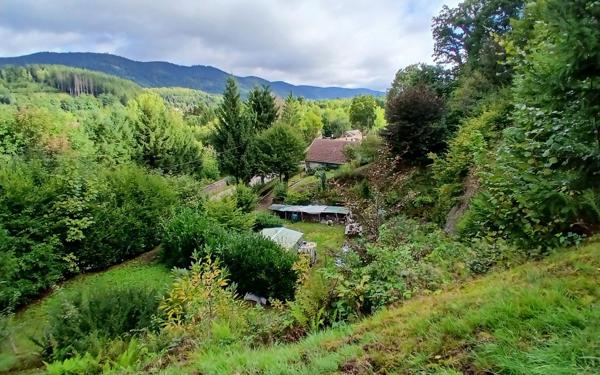 Maison à vendre    3 pièces •  Senones