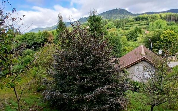 Maison à vendre    3 pièces •  Senones