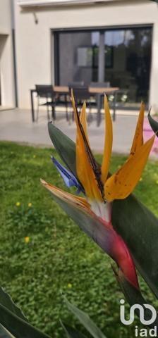 Maison à vendre 9 pièces 320 m² Six-Fours-les-Plages