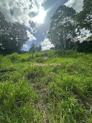 Terrain à vendre de 1 500 m²