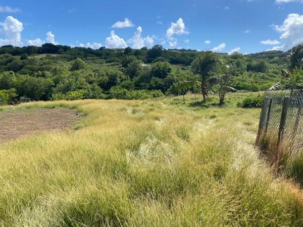 Terrain Le Marin 970 m2