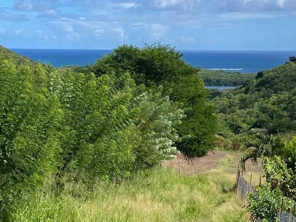 Terrain Le Marin 970 m2