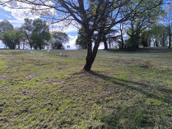 Terrain viabilisé 565 m²  81400 BLAYE-LES-MINES  LOT 6