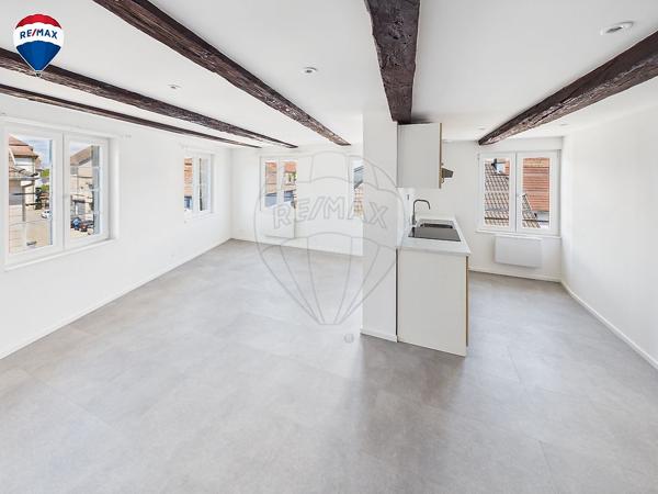 Appartement 2 chambre(s) à louer - Dannemarie, Haut-Rhin - 68
