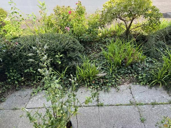 Vente Appartement 2 pièces 46 m2 à La Mézière