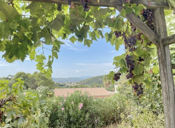 Vidauban (83550) Villa de plain-pied avec studio indépendant, piscine et vue panoramique