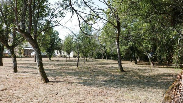 Terrain à Batir à vendre à Sery dans les Ardennes (08270), ref : 08018-TEBA-2013