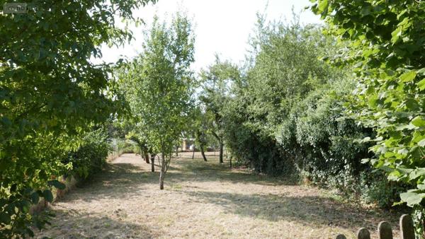Terrain à Batir à vendre à Sery dans les Ardennes (08270), ref : 08018-TEBA-2013