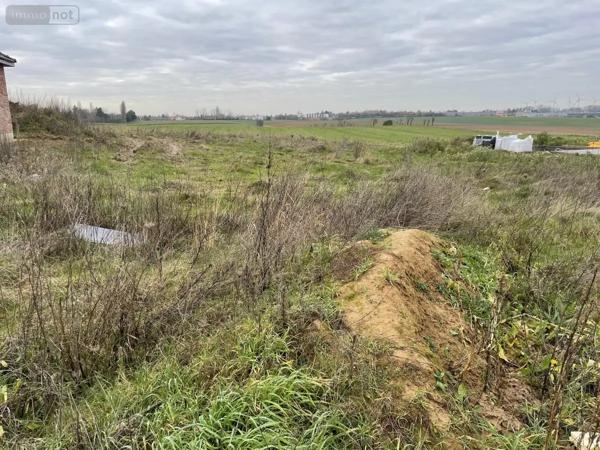 Achat - Terrain à bâtir Caudry 59540 1413 m 2
