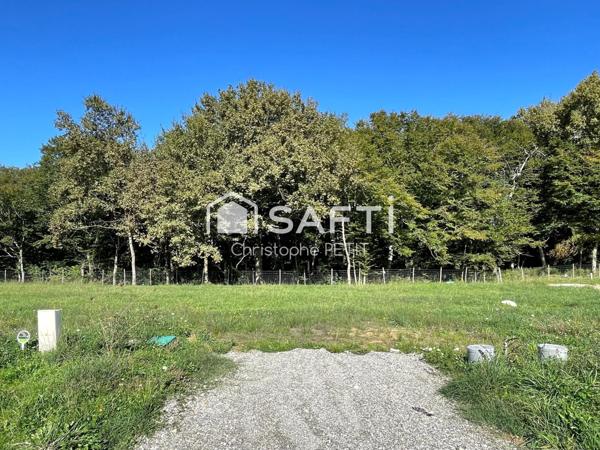 Magnifique lotissement entouré d' arbres