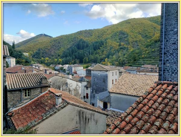 Maison à vendre 3 pièces VALLERAUGUE (30)