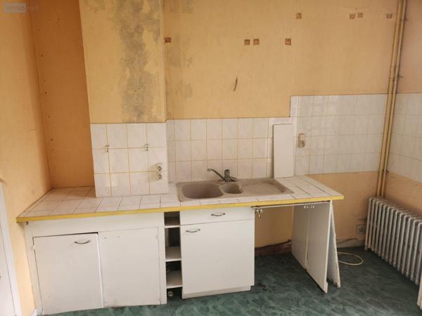 Local mixte (Pro/Hab) à vendre à Bar-sur-Aube dans l'Aube (10200), ref : 10379/623   
Calme