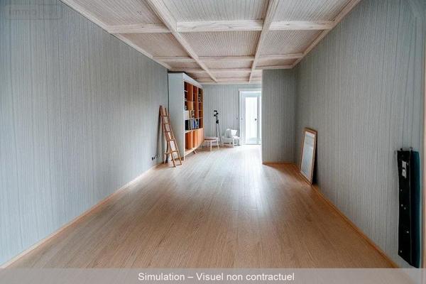 Local mixte (Pro/Hab) à vendre à Bar-sur-Aube dans l'Aube (10200), ref : 10379/623   
Calme