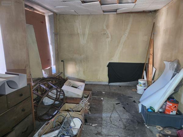 Local mixte (Pro/Hab) à vendre à Bar-sur-Aube dans l'Aube (10200), ref : 10379/623   
Calme