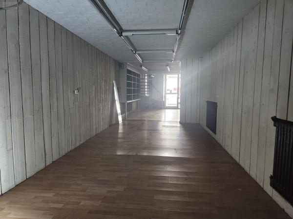 Local mixte (Pro/Hab) à vendre à Bar-sur-Aube dans l'Aube (10200), ref : 10379/623   
Calme