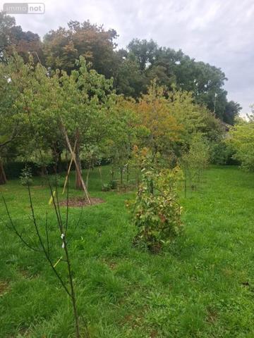 Achat - Terrain à bâtir | Terrain à bâtir Fussy 18110 1148 m 2 1148 m 2
