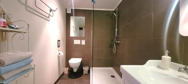 Jonzac (17500) MAISON CHARENTAISE DE 220 M² RENOVEE