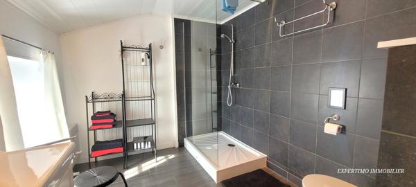 Jonzac (17500) MAISON CHARENTAISE DE 220 M² RENOVEE