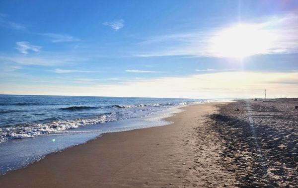 Vente Maison à 500 mètres de la plage Portiragnes-plage