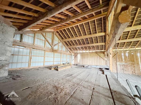 Farges (01550) MAISON 4 PIECES 138 M2 + GRANGE 250 M2