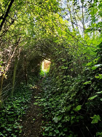Terrain privé d'exception au coeur des hortillonnages d'Amiens - 3000m2 de nature et d'évasion €117 700 ** - Référence 13902