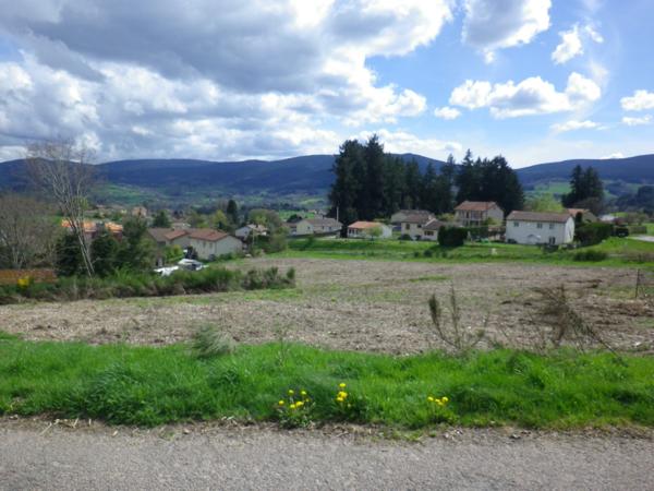 Terrain constructible viabilisé 1235 m² à vendre NOIRETABLE (42)