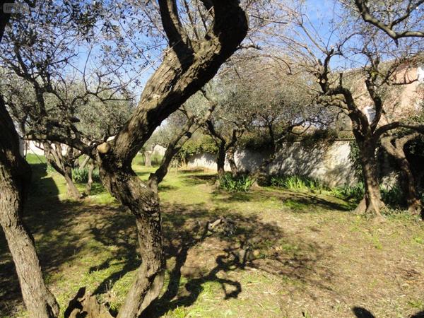 Terrain à Batir à vendre à Saint-Gilles dans le Gard (30800), ref : 11411/451