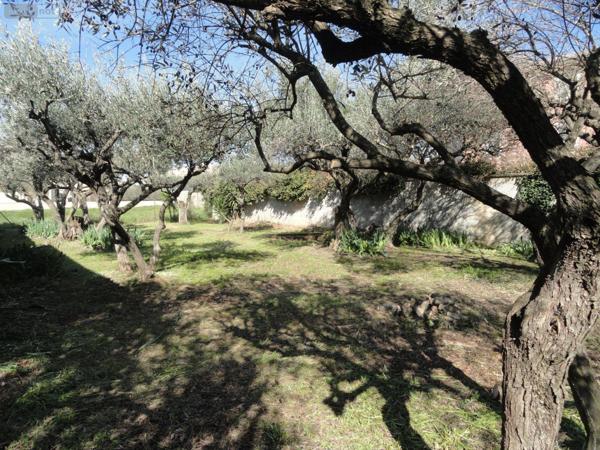 Terrain à Batir à vendre à Saint-Gilles dans le Gard (30800), ref : 11411/451